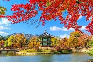 تور+چین+و+کره+جنوبی؛+ترکیب+برنده+برای+سفر+به+دل+آسیا+-+تصویر+1