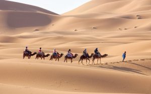 desert-chegaga_1280x800